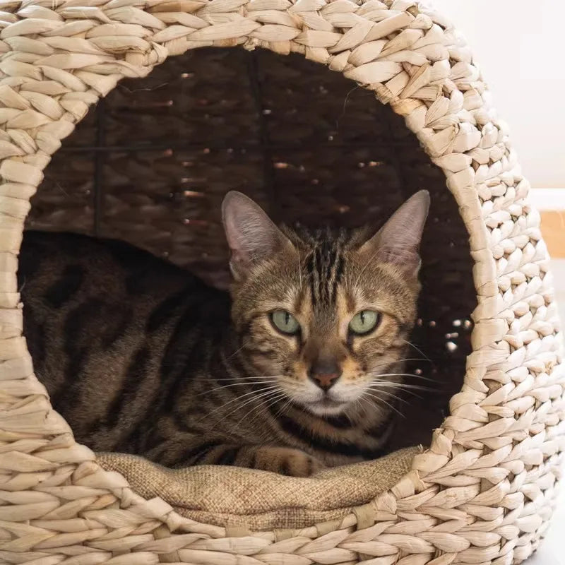 Wooden Cat Tree Scratching Post Indoor Climbing Tower