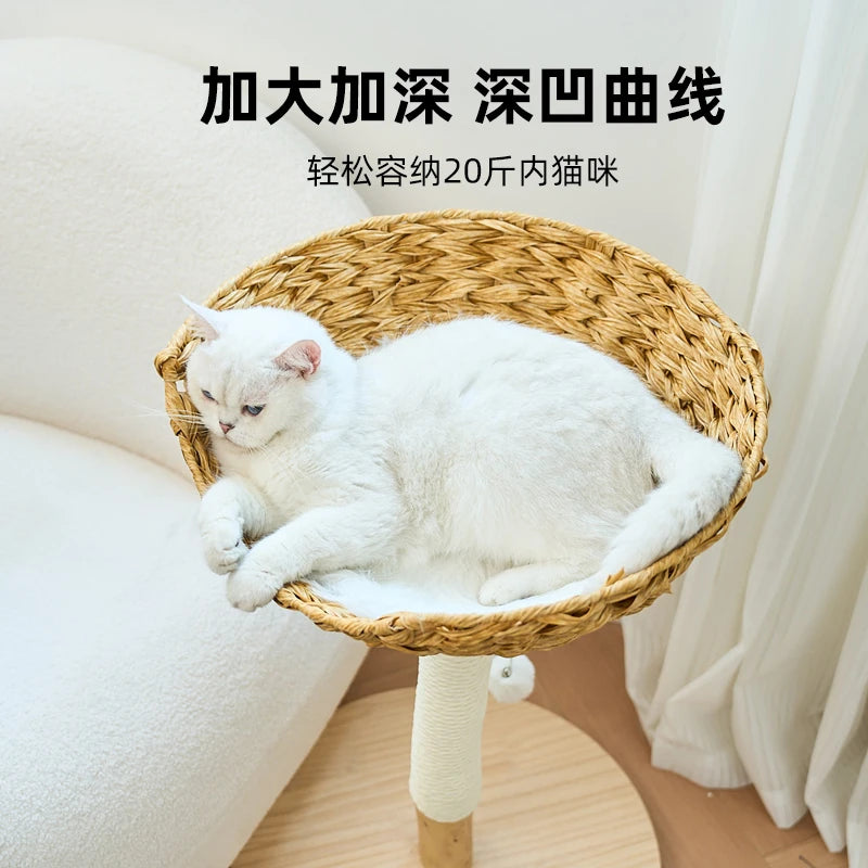 Modern Wooden Cat Tree Multi-Level Climbing Tower Rattan