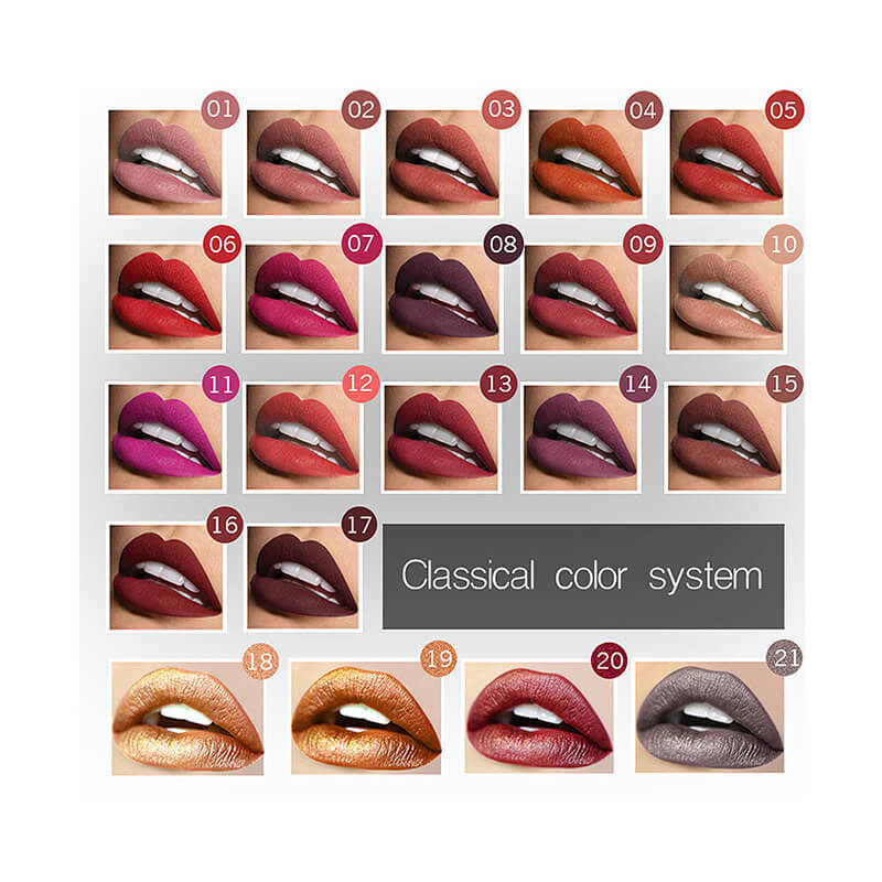 Highly Pigmented Matte Lip Gloss | Long Lasting Matte Lipstick