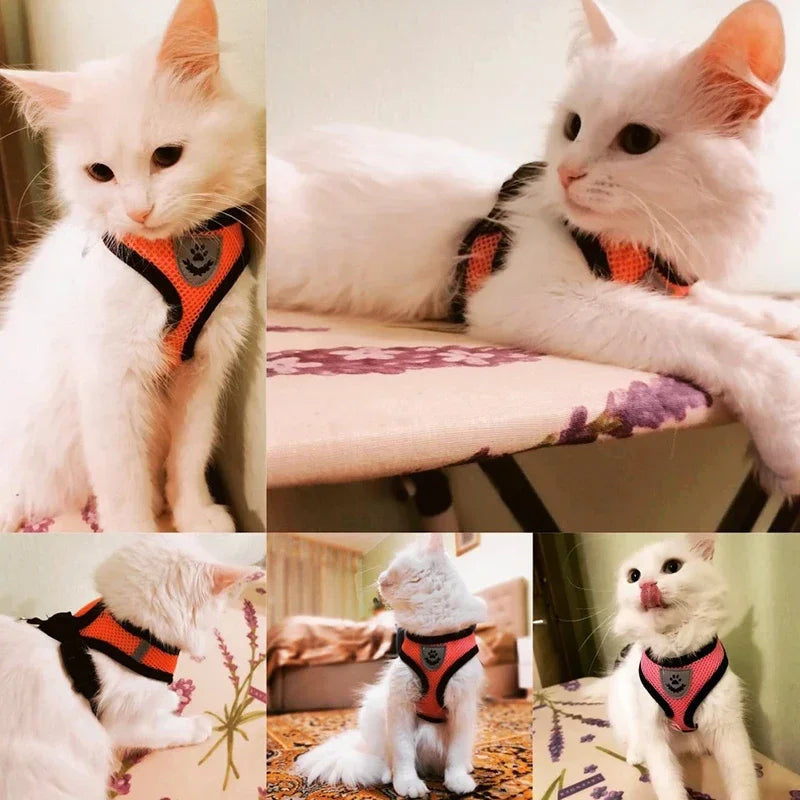 Dog Cat Harness Vest Adjustable Mesh Leash Small Medium Pets