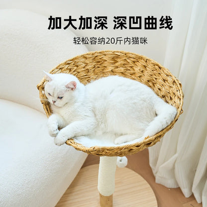Modern Wooden Cat Tree Multi-Level Climbing Tower Rattan
