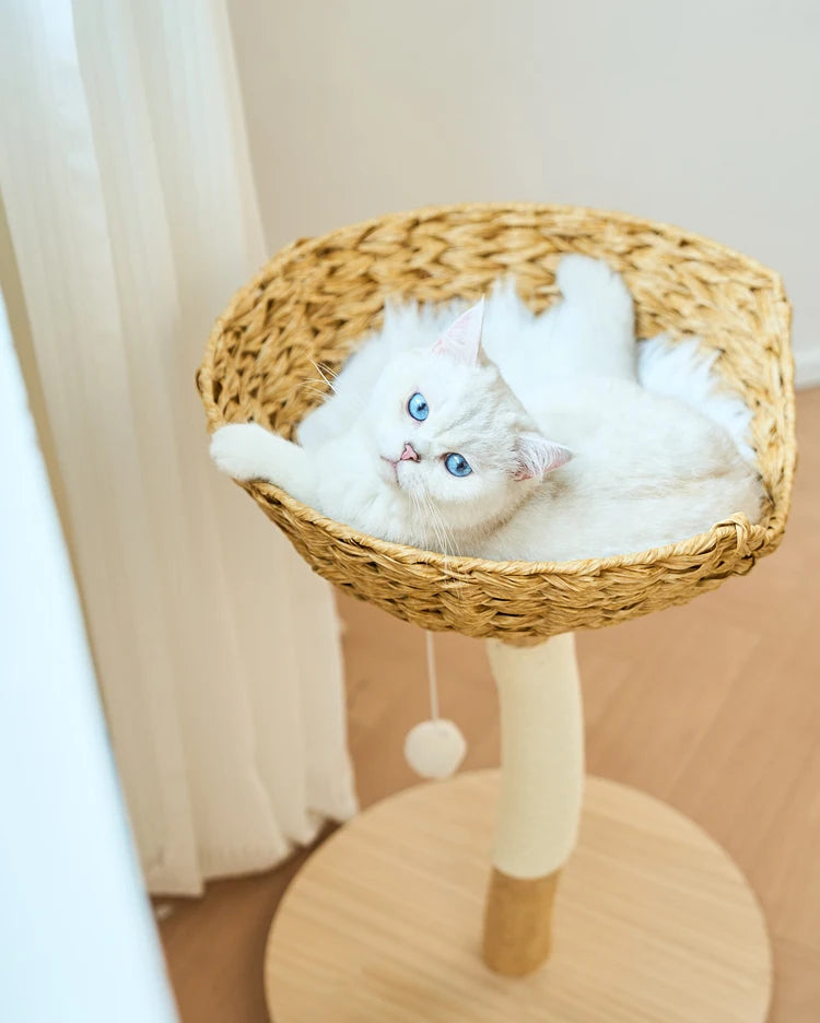 Modern Wooden Cat Tree Multi-Level Climbing Tower Rattan