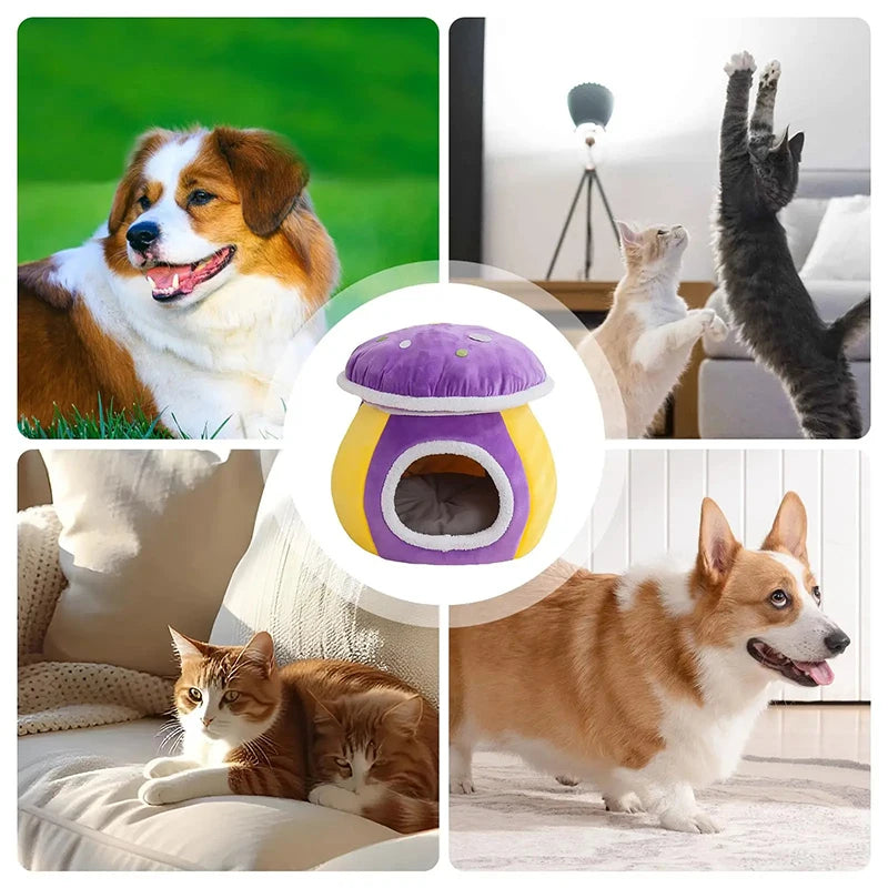 Cat Bed Cave Winter Warm Removable Cushion Pet Nest