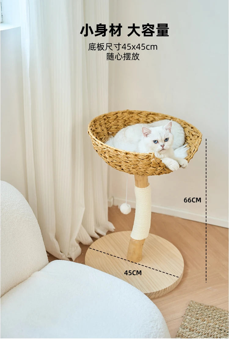 Modern Wooden Cat Tree Multi-Level Climbing Tower Rattan