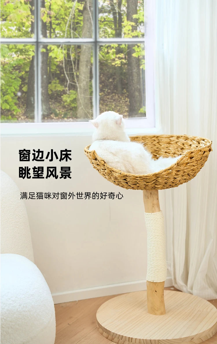 Modern Wooden Cat Tree Multi-Level Climbing Tower Rattan