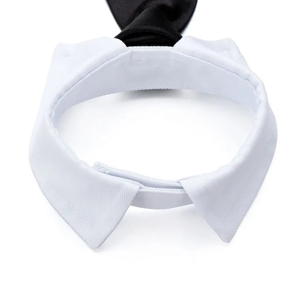 Pet Dog Tuxedo Bow Tie Collar Formal Wedding Accessory