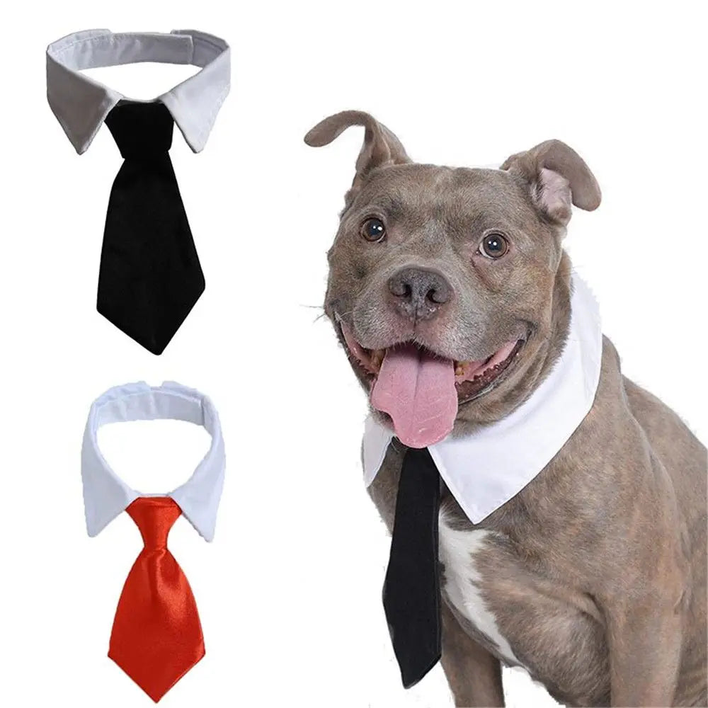 Pet dog tuxedo bow tie collar in black and red cotton adjustable formal necktie for cats and small to medium dogs