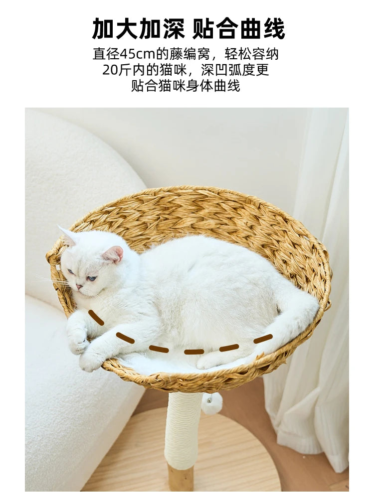 Modern Wooden Cat Tree Multi-Level Climbing Tower Rattan