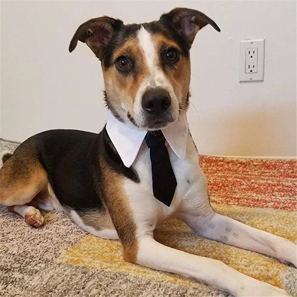 Pet Dog Tuxedo Bow Tie Collar Formal Wedding Accessory